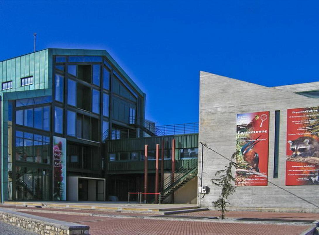 Ο Άγιος Βασίλης ... στο Μουσείο Φυσικής Ιστορίας Κρήτης