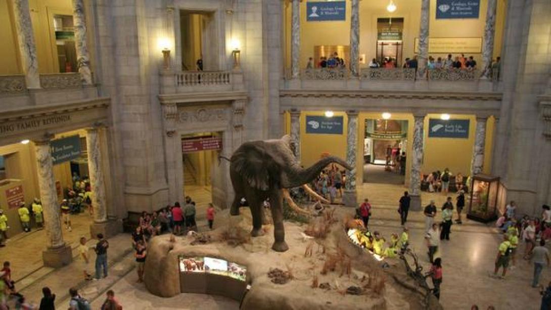 μουσειο φυσικης ιστοριας κρητης