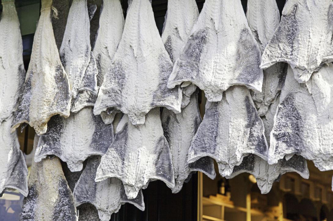 μπακαλιάρος