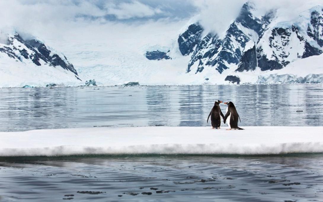 ανταρκτικη