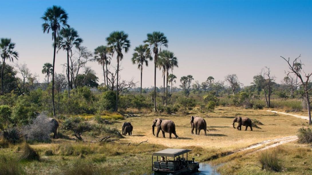 μποτσουάνα