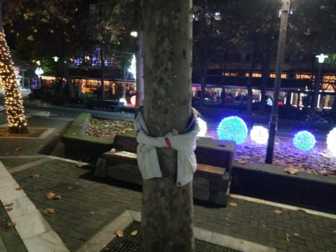 Στην Λαρισα τα δεντρα φορεσαν μπουφαν.jpg