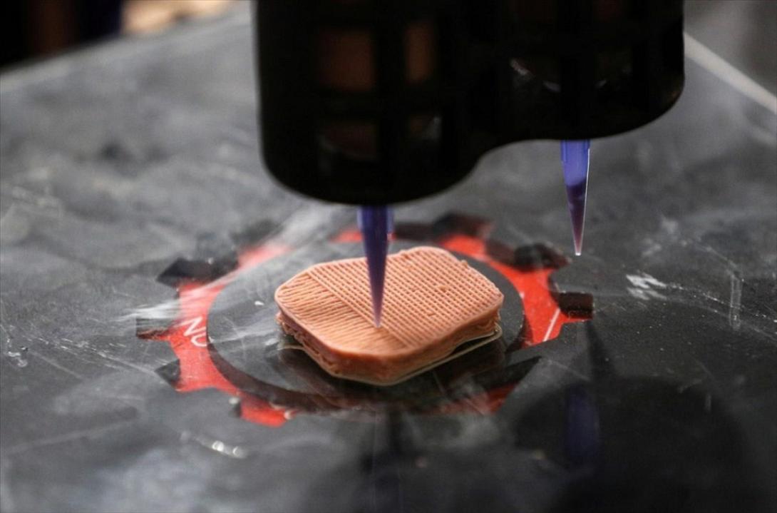 «Μπριζόλες» για φυτοφάγους από 3D εκτυπωτές