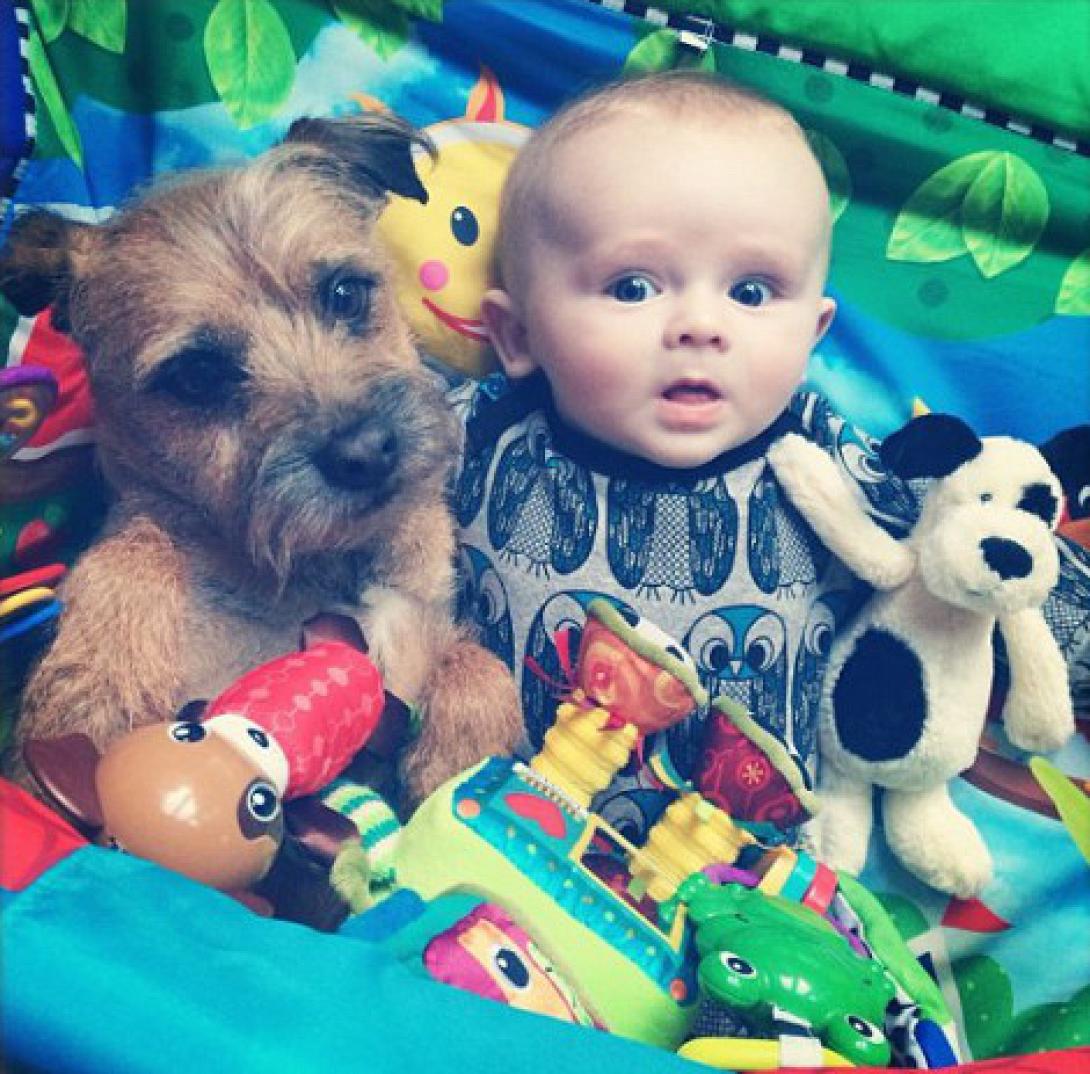 Μία ιστορία που κάνει το γύρο του κόσμου: Μωρό και σκύλος, αχώριστοι φίλοι!