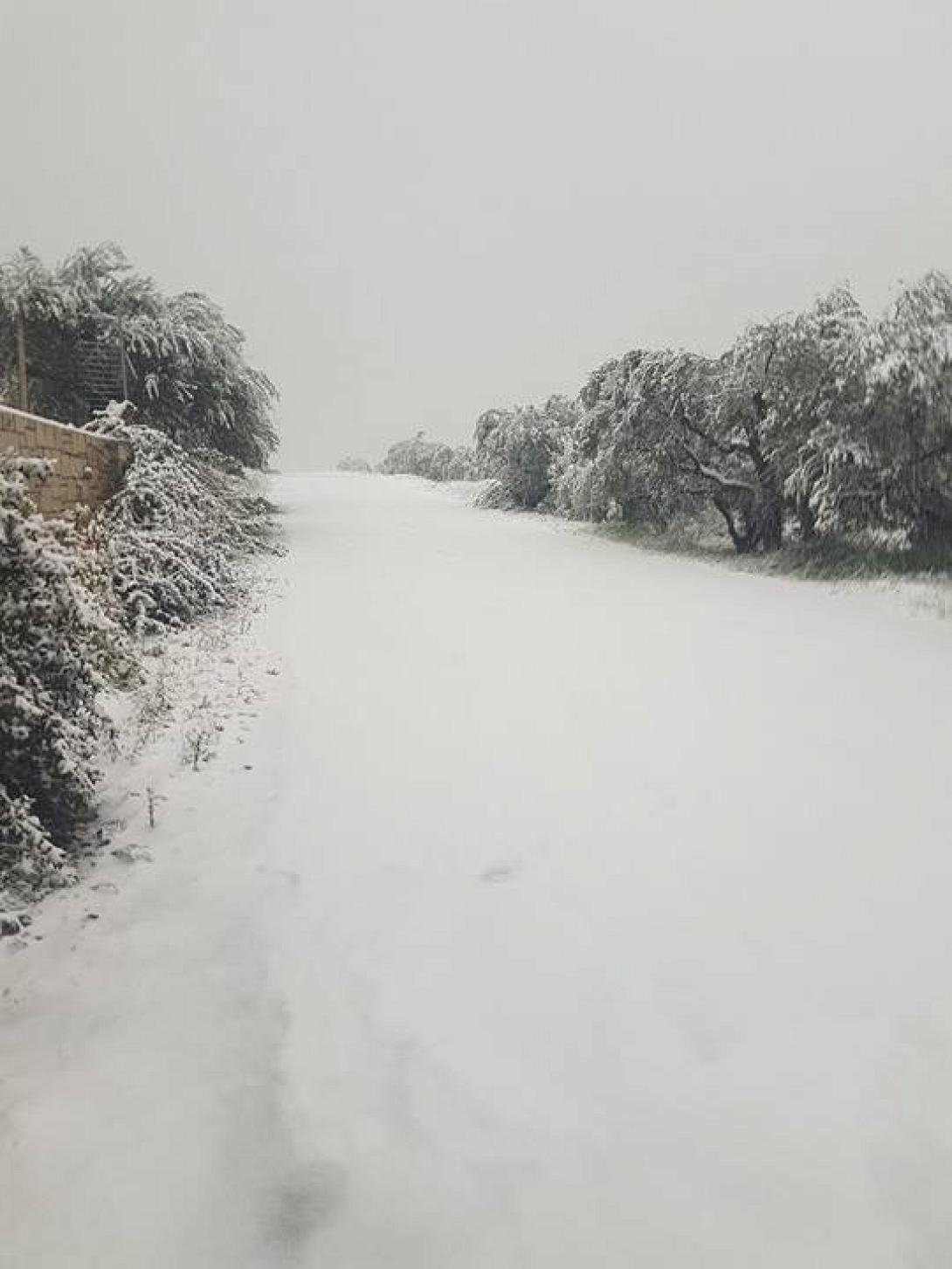 Μυρτια χιονι