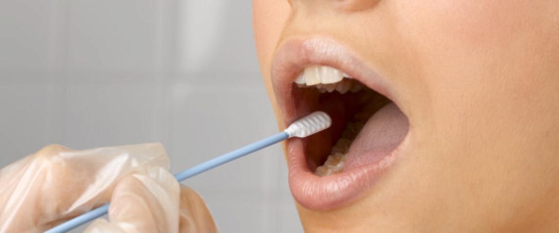 μυελός οστών