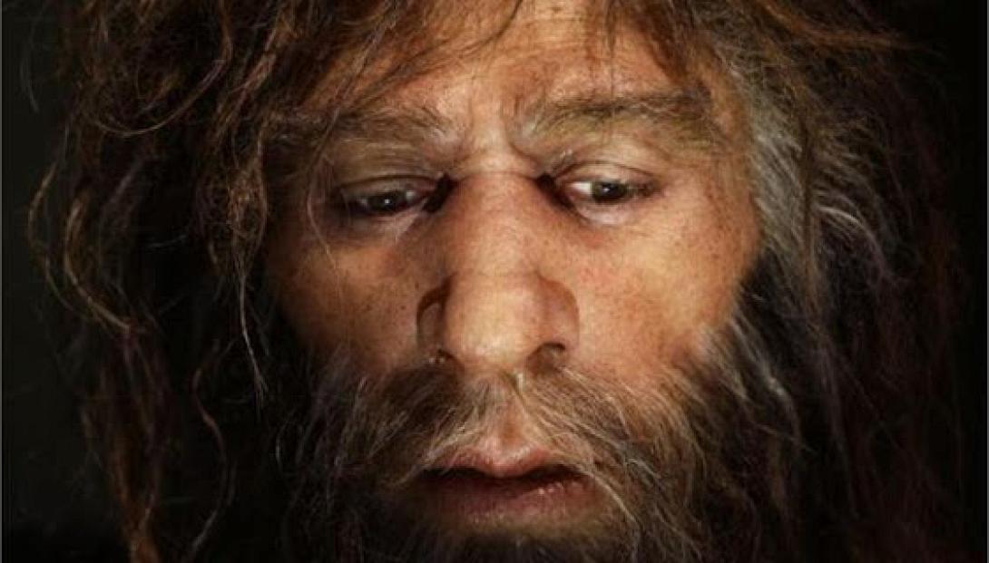 Τελικά οι Νεάντερταλ δεν εξαφανίστηκαν λόγω... βλακείας