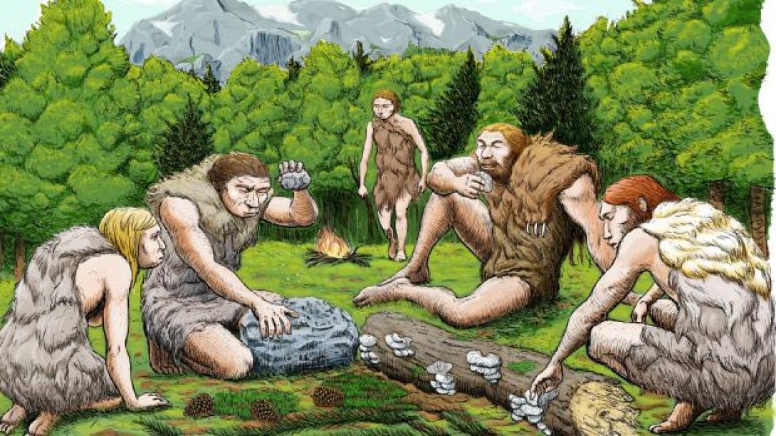 Νεάντερταλ