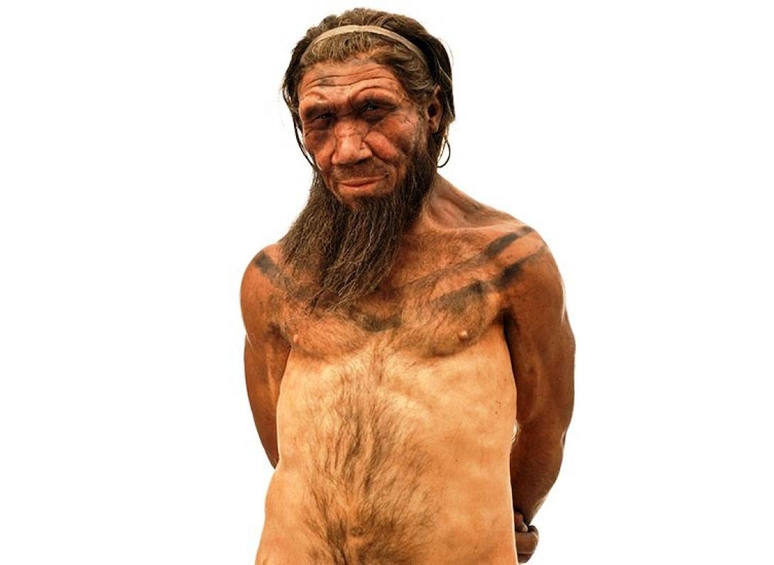 Νεάντερνταλ