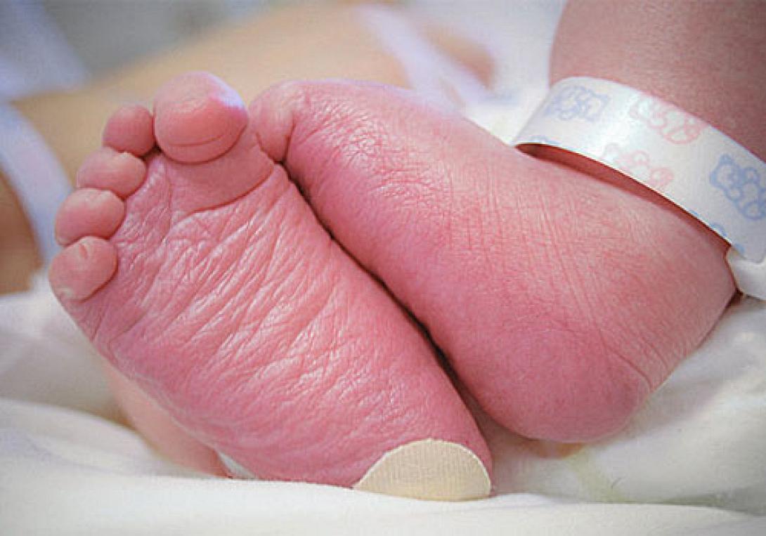 νεογέννητο