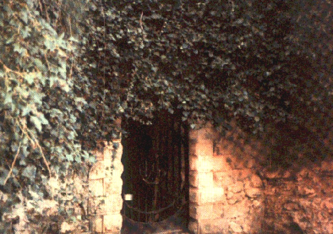 Νεραϊδόσπηλιος.. στο φαράγγι της Θεάς!!!