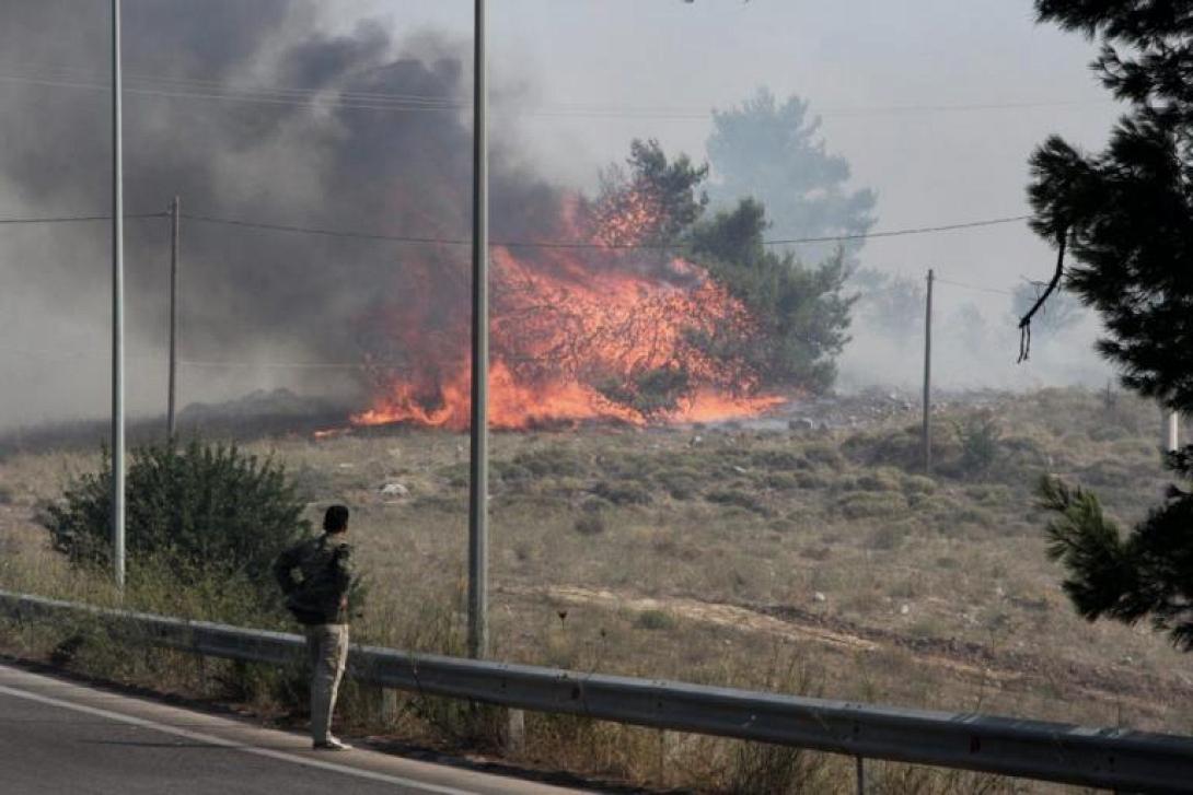 φωτιά καπανδρίτι