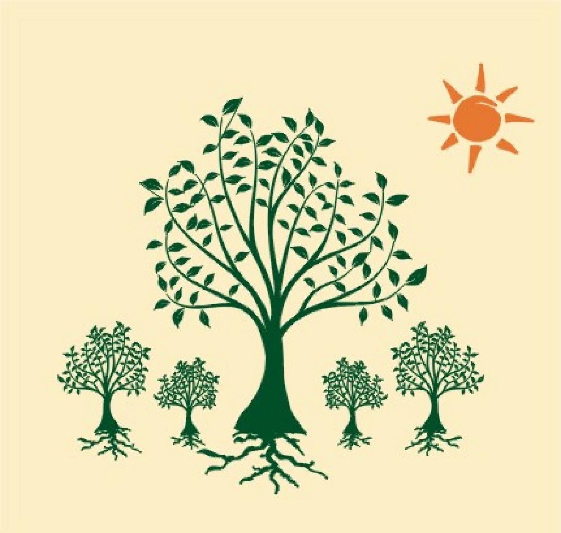 Σεμινάριο για το νευρογλωσσολογικό προγραμματισμό (NLP) στο Βενιζέλειο