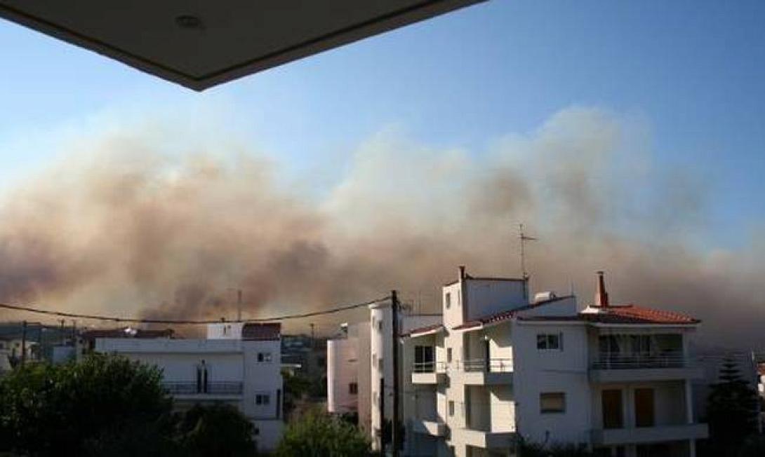 λακωνια φωτια