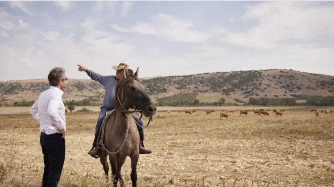 μητσοτάκης ντάλτον
