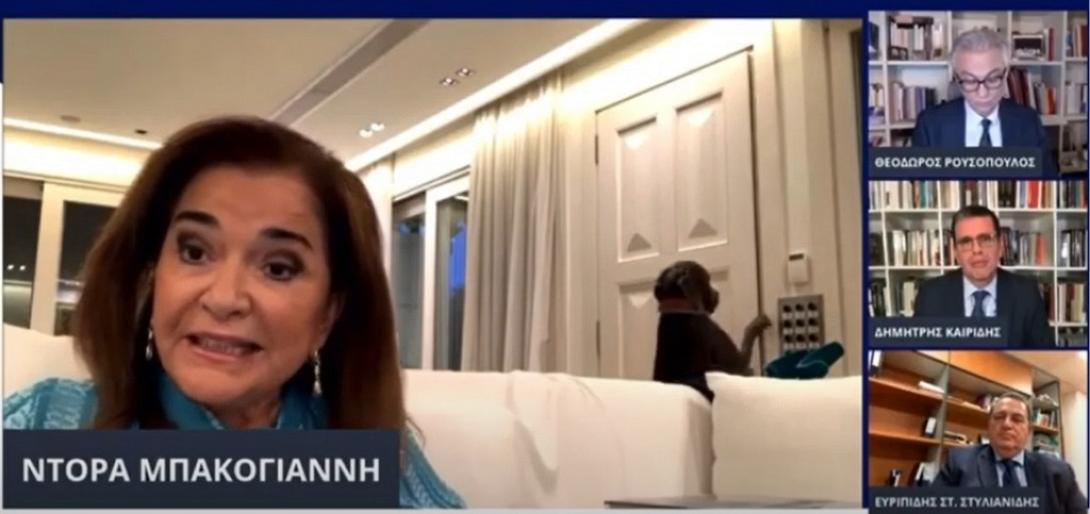 ντόρα σκύλος