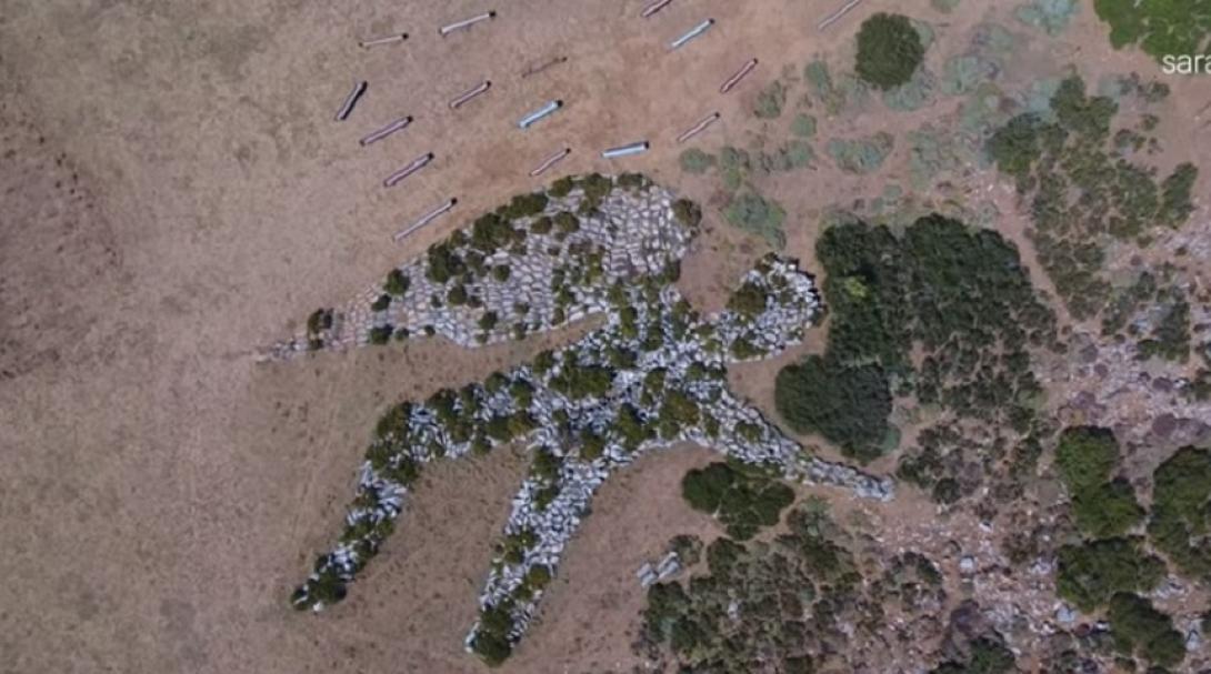 ο αντάρτης της ειρήνης