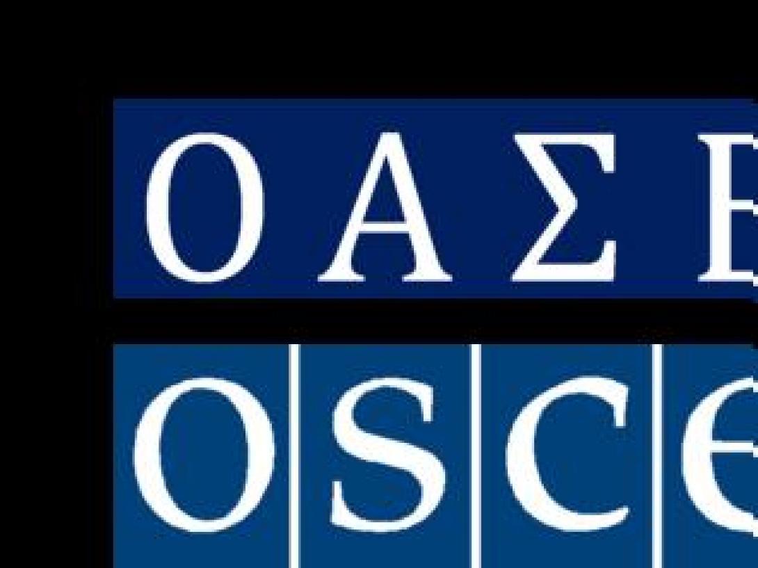 Ουκρανία: Ελεύθεροι οι 12 στρατιωτικοί παρατηρητές του ΟΑΣΕ