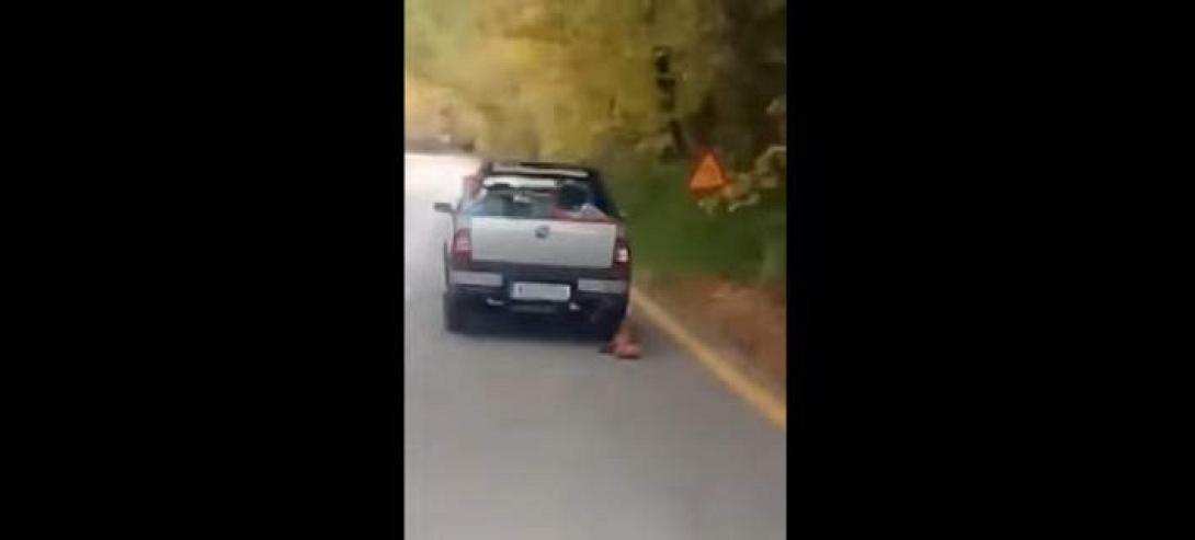 σκύλος οδηγός