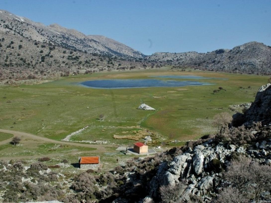 ομαλός βιάννου