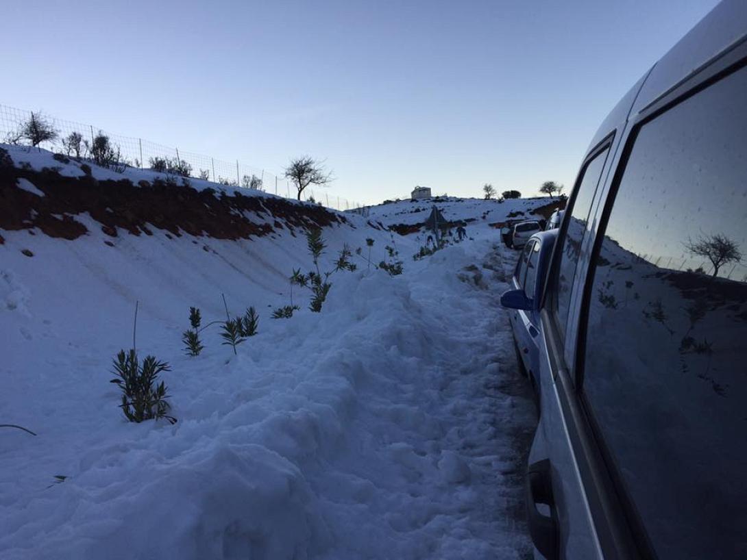 Ομαλος (φωτο ξενοδοχειου)