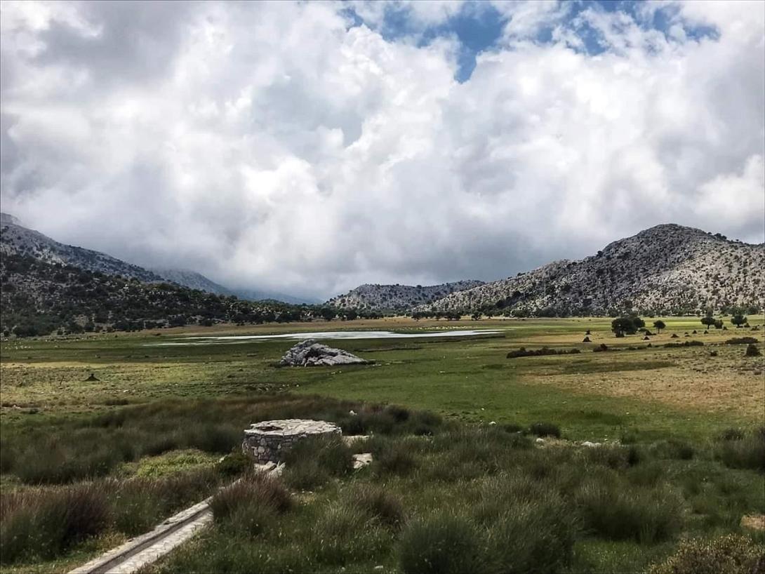 Ομαλός Βιάννου