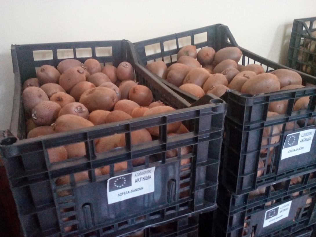 Διανομή οπωροκηπευτικών προϊόντων στο Γάζι