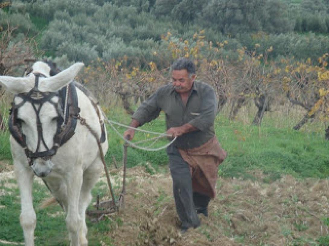  Όργωμα και Σπορά