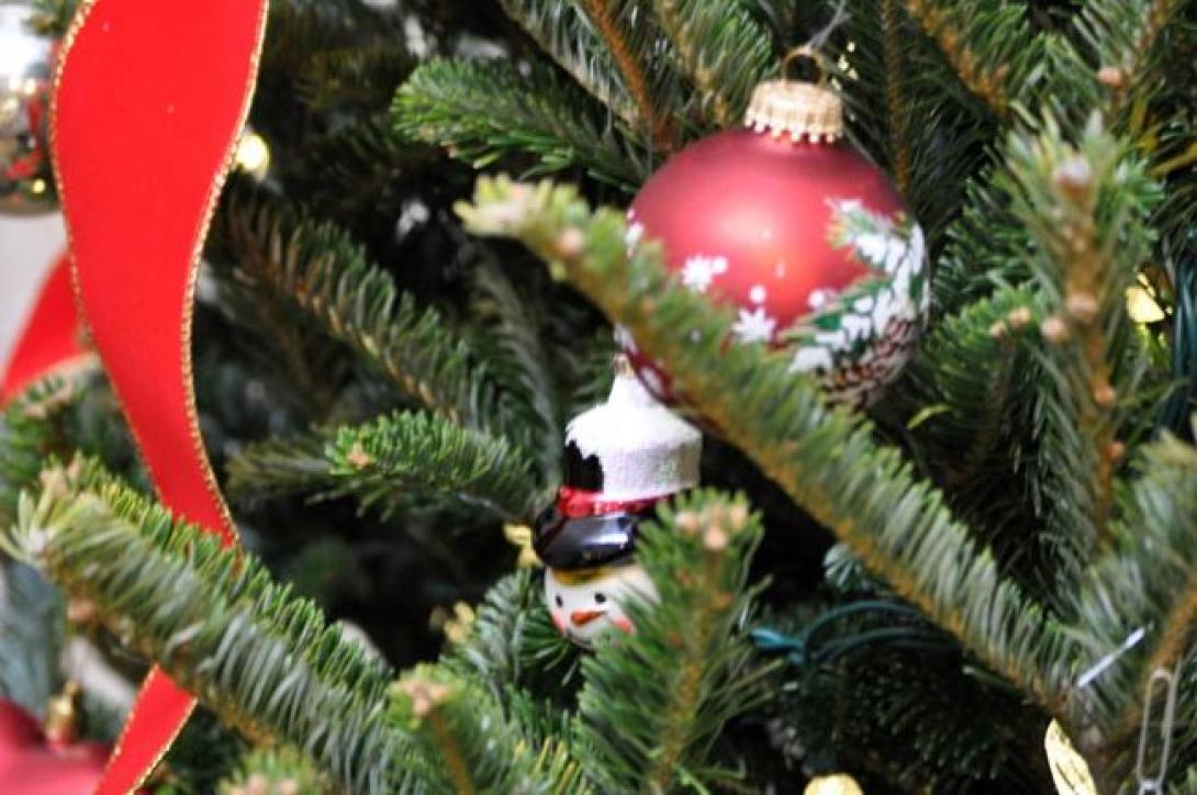 ΗΠΑ: Βρήκαν μονόπετρο στο χριστουγεννιάτικο δέντρο αστυνομικού τμήματος!