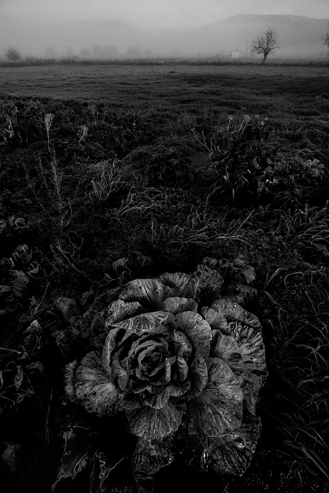 οροπεδιο - σιγανος