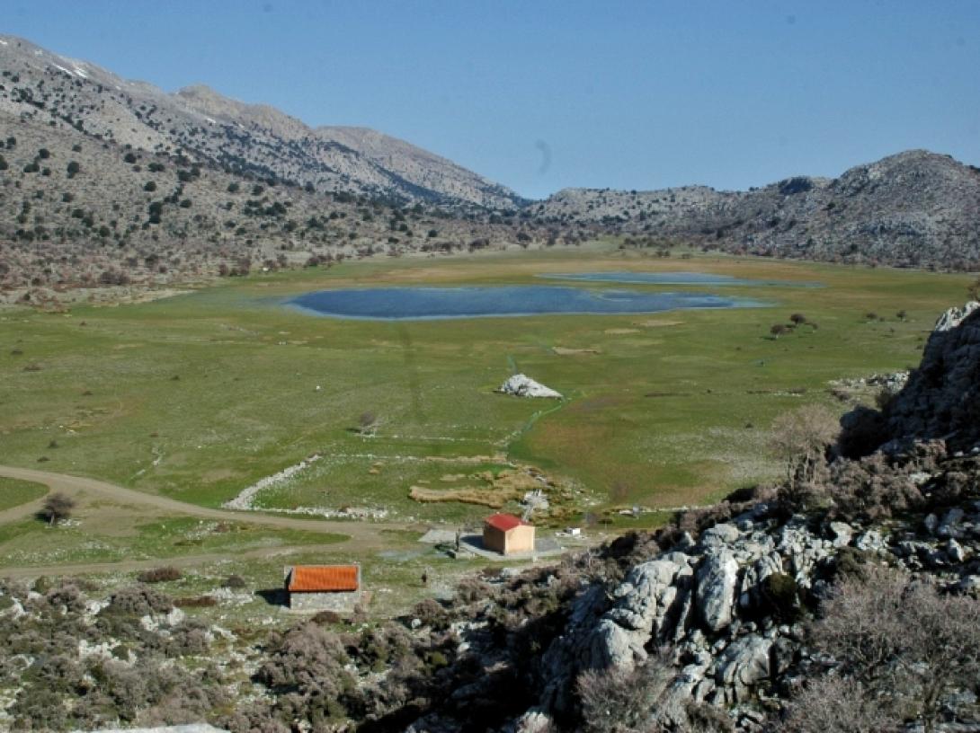 οροπέδιο ομαλού βιάννος