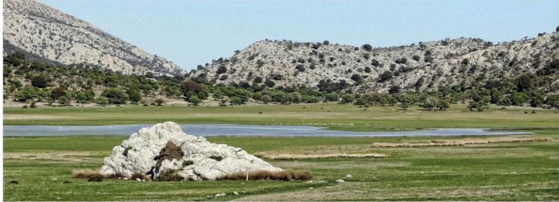 οροπέδιο ομαλού βιάννος