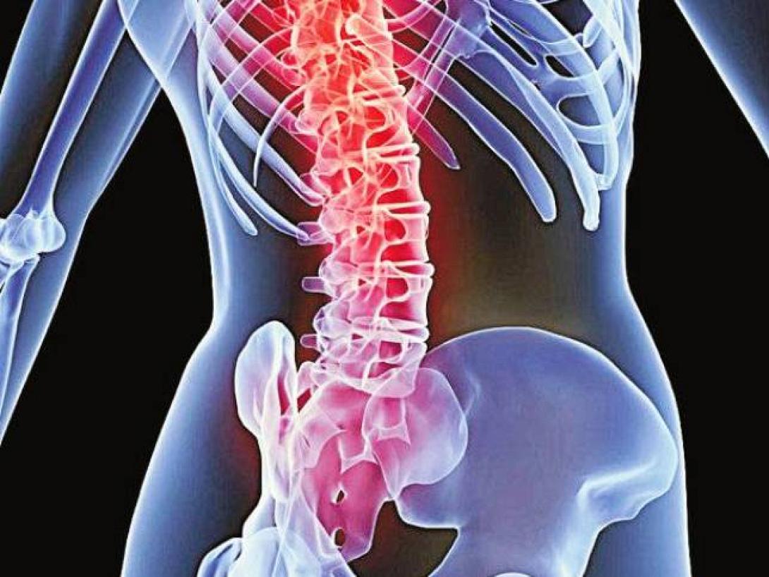 Δωρεάν έλεγχος οστεοπόρωσης σε Ηράκλειο και Ρέθυμνο