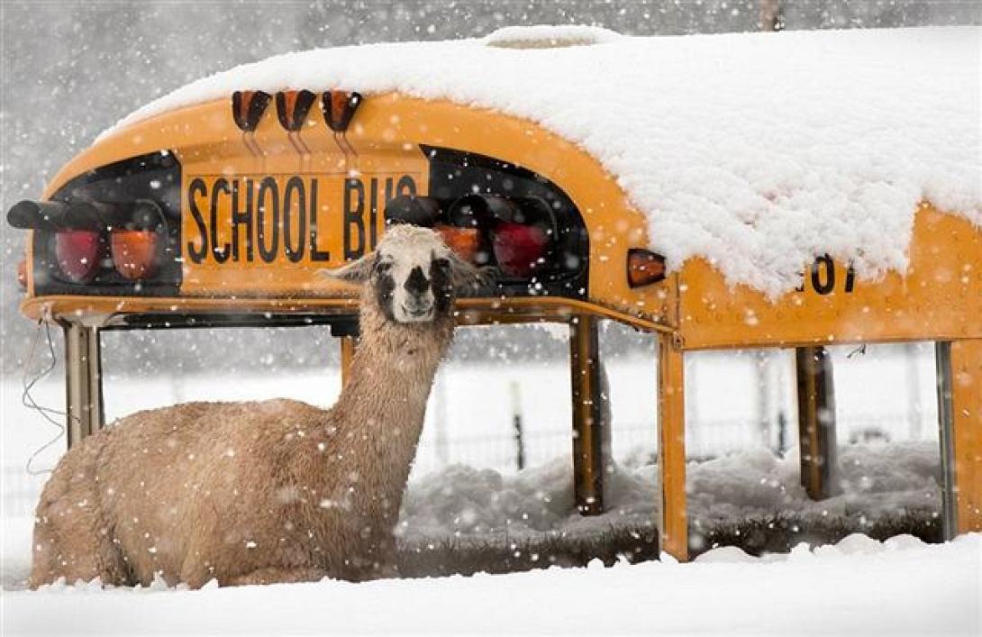 Στο έλεος της χιονοθύελλας η Ουάσινγκτον