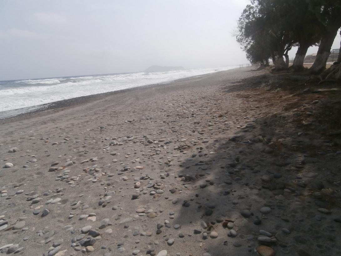 παραλια δημος πλατανια