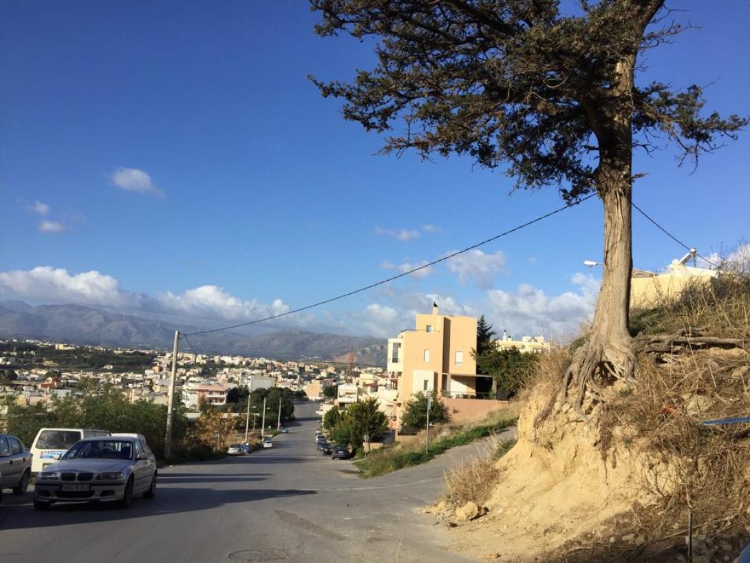 πεύκο οδός δεξιθέας