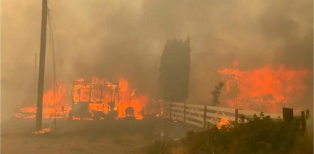 ΚΑΝΑΔΑΣ ΦΩΤΙΑ