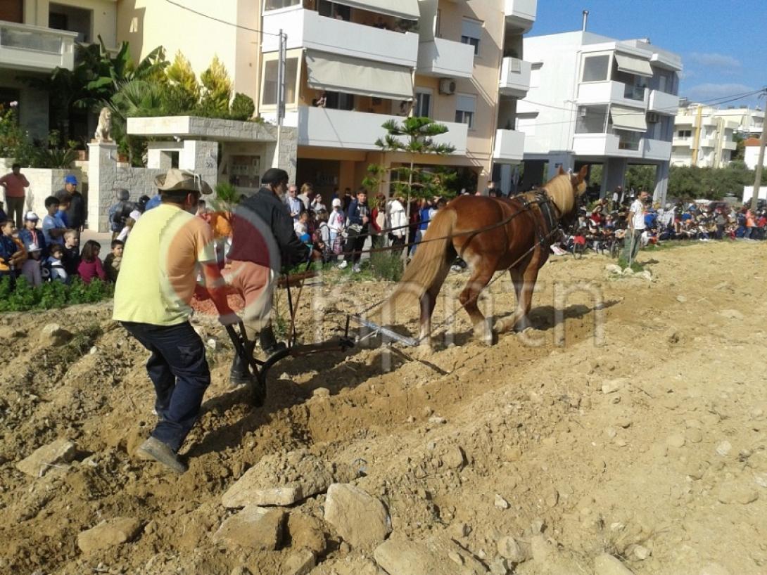 πάρκο ερυθραίας