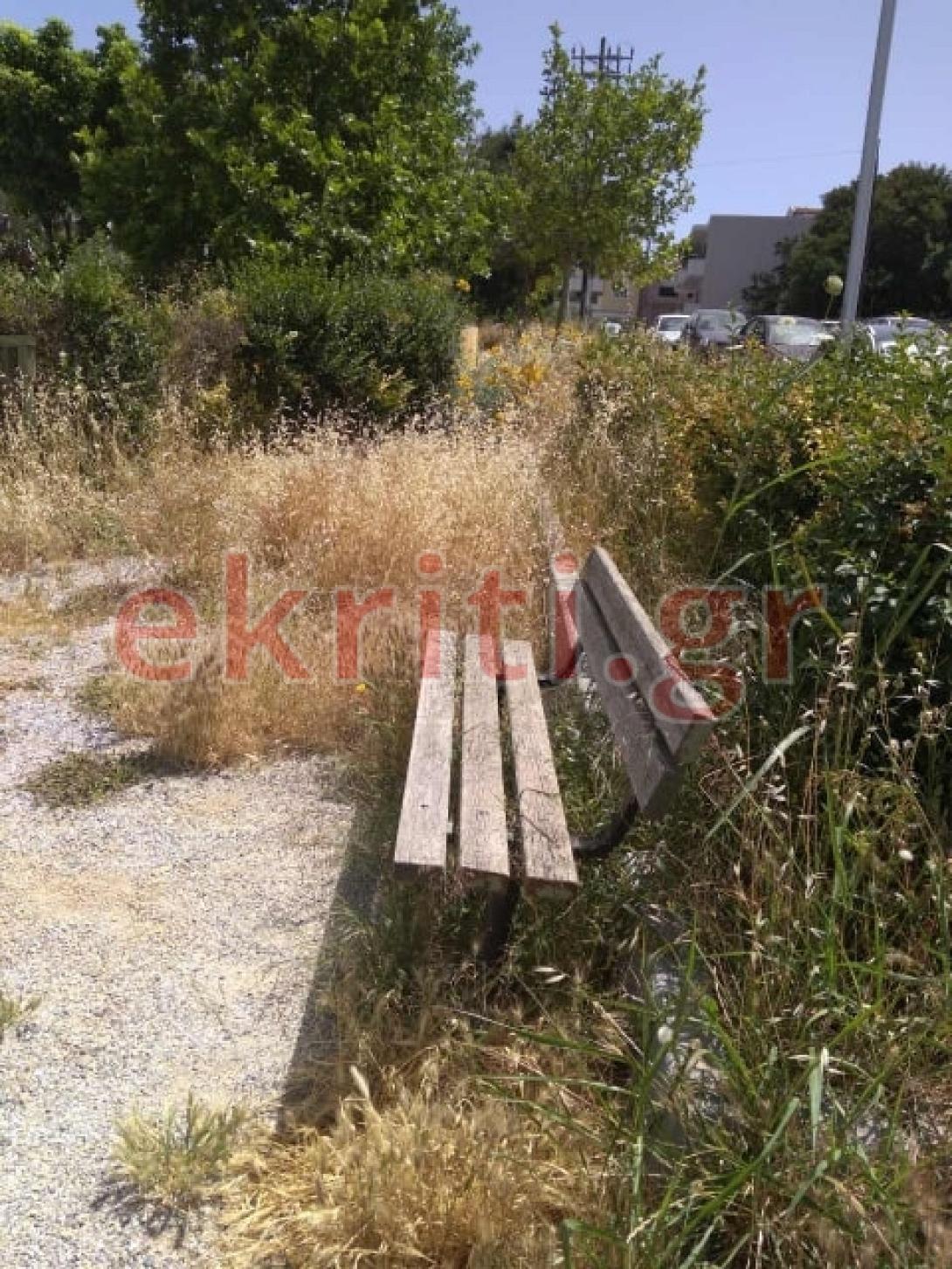 πάρκο μικράς ασίας