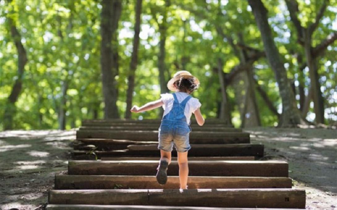 κατασκήνωση / Shutterstock