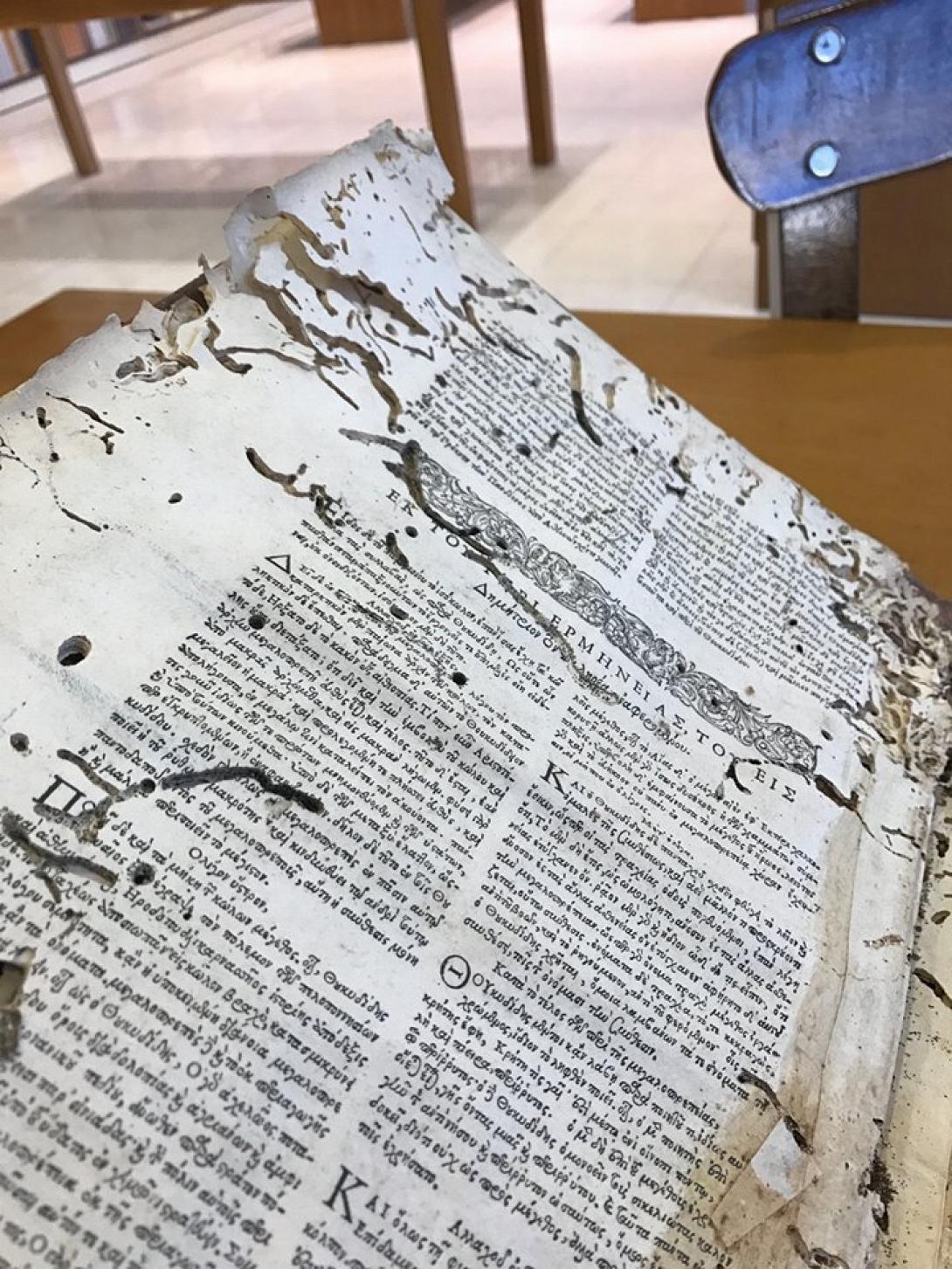 παλαίτυπα βικελαία