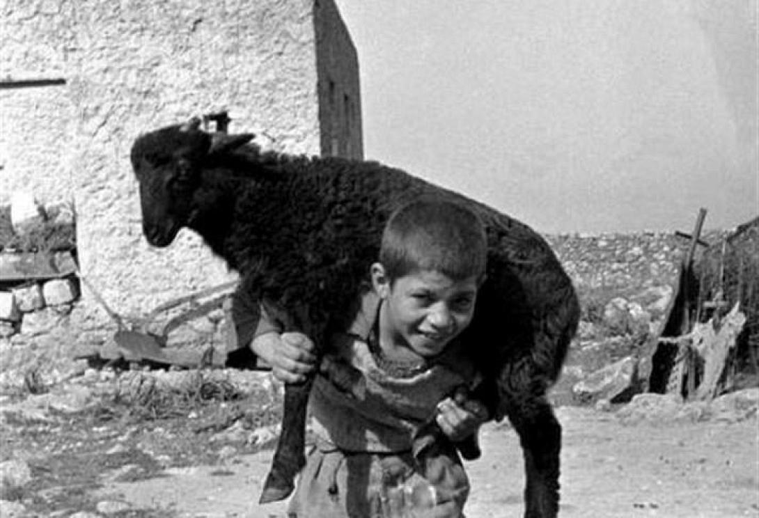 Παντελάκις - Φωτογραφία Δημήτρης Χουστουλάκης