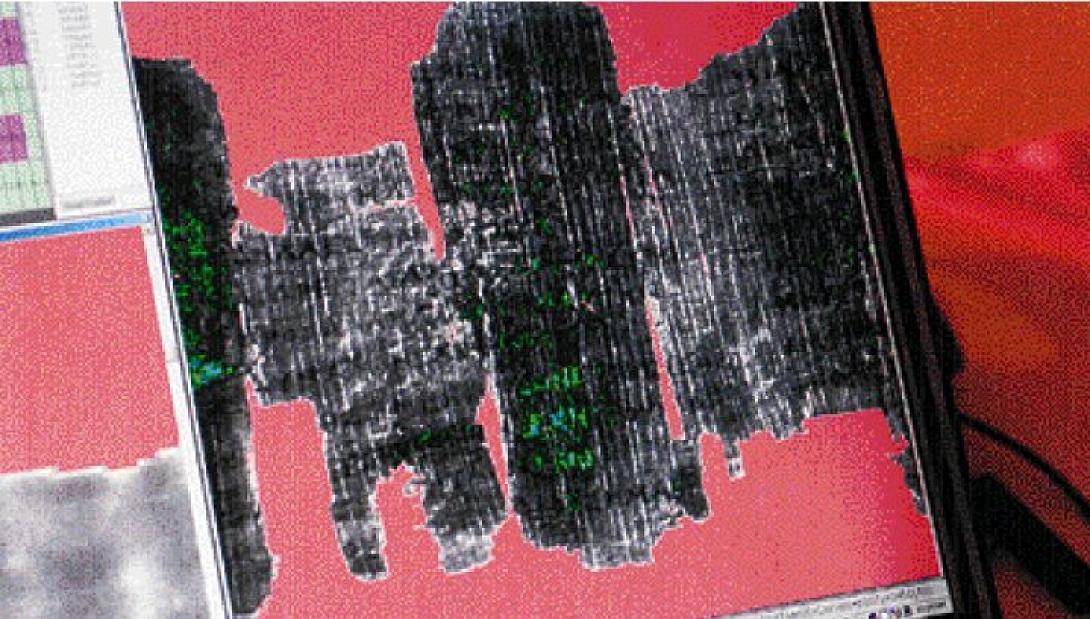 Ο πάπυρος του Δερβενίου βάζει υποψηφιότητα για εγγραφή στον Κατάλογο της UNESCO