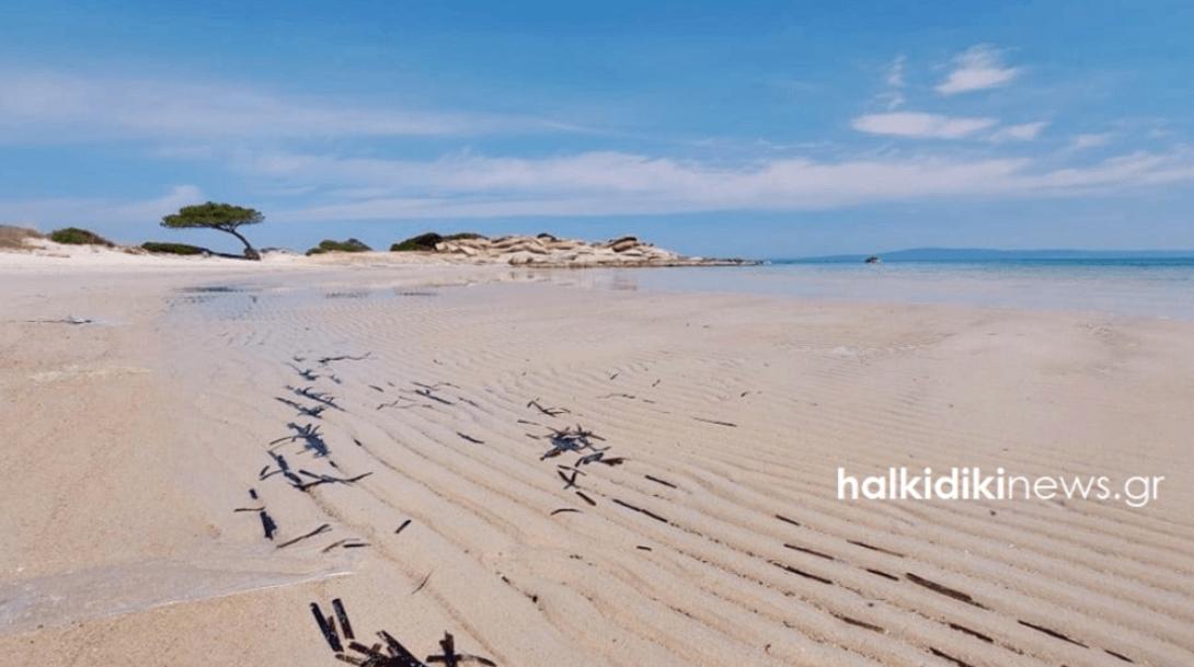 παραλία Καρύδι 