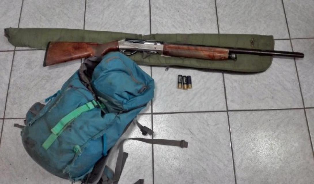 παρανομο κυνηγι