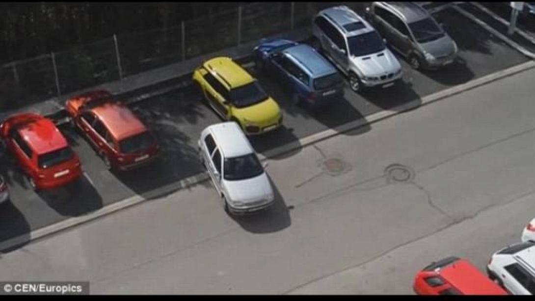 παρκαρισμα, οδηγος