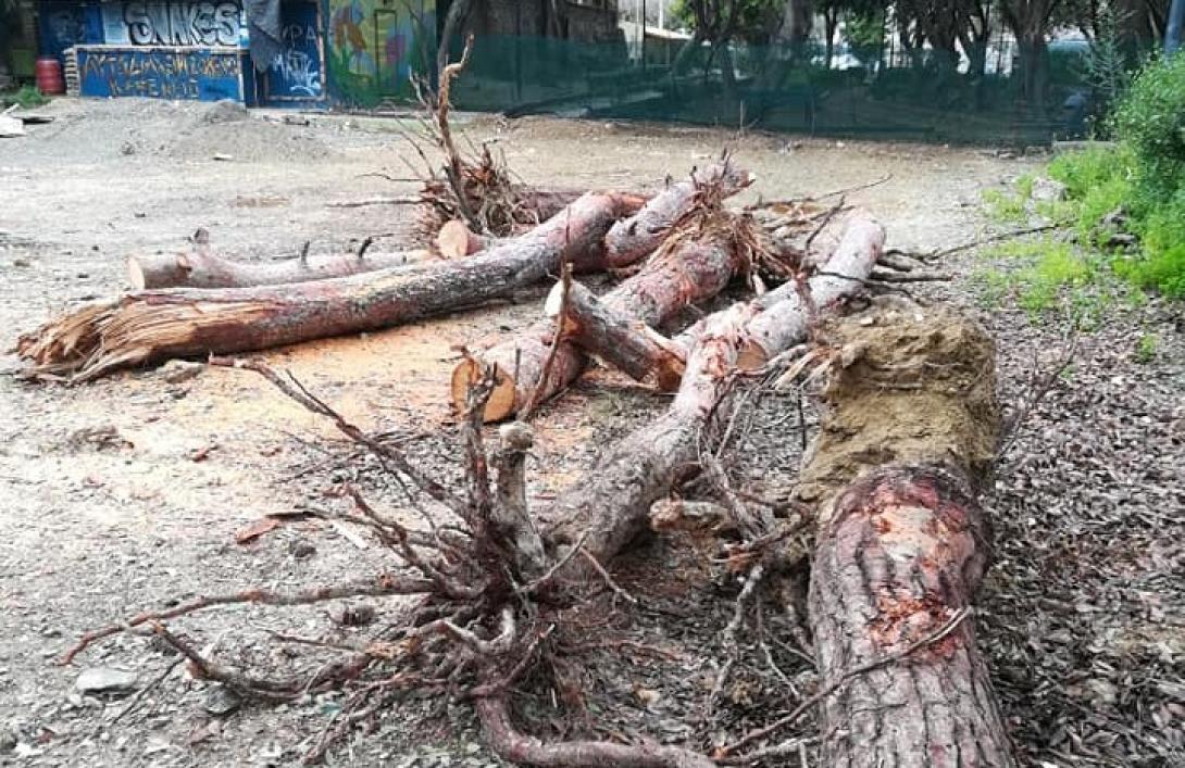 παρκο γεωργιαδη.jpg