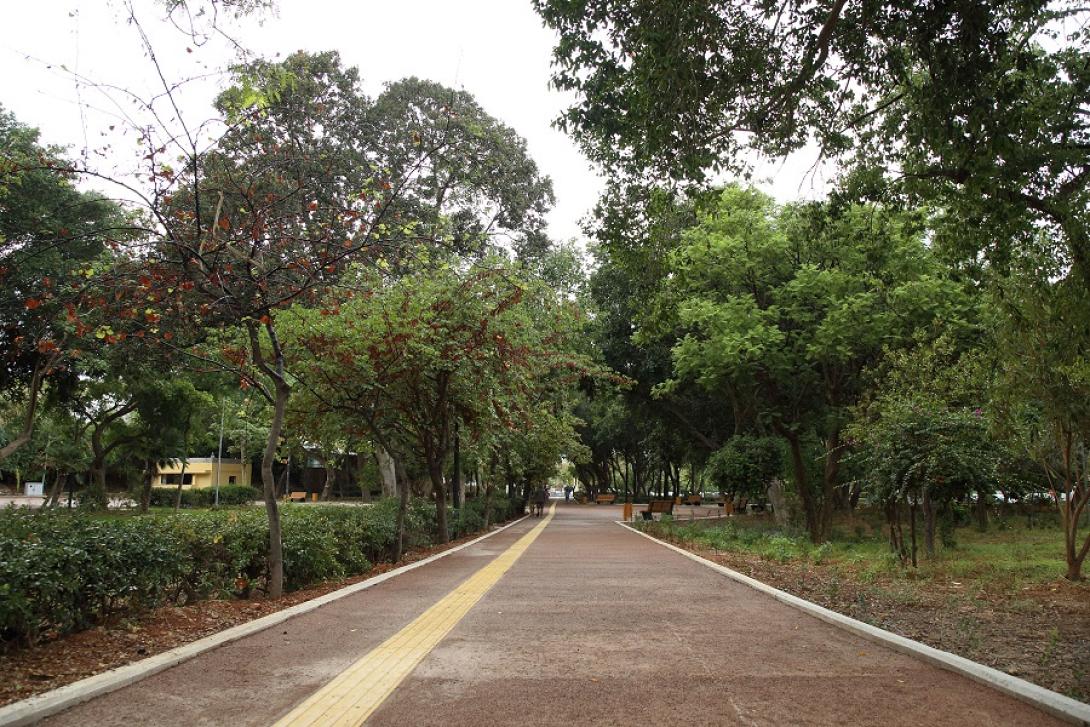 Πάρκο Γεωργιάδη