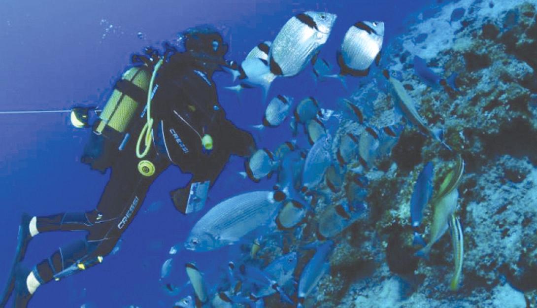 Καταδυτικό Πάρκο Μονοναύτη