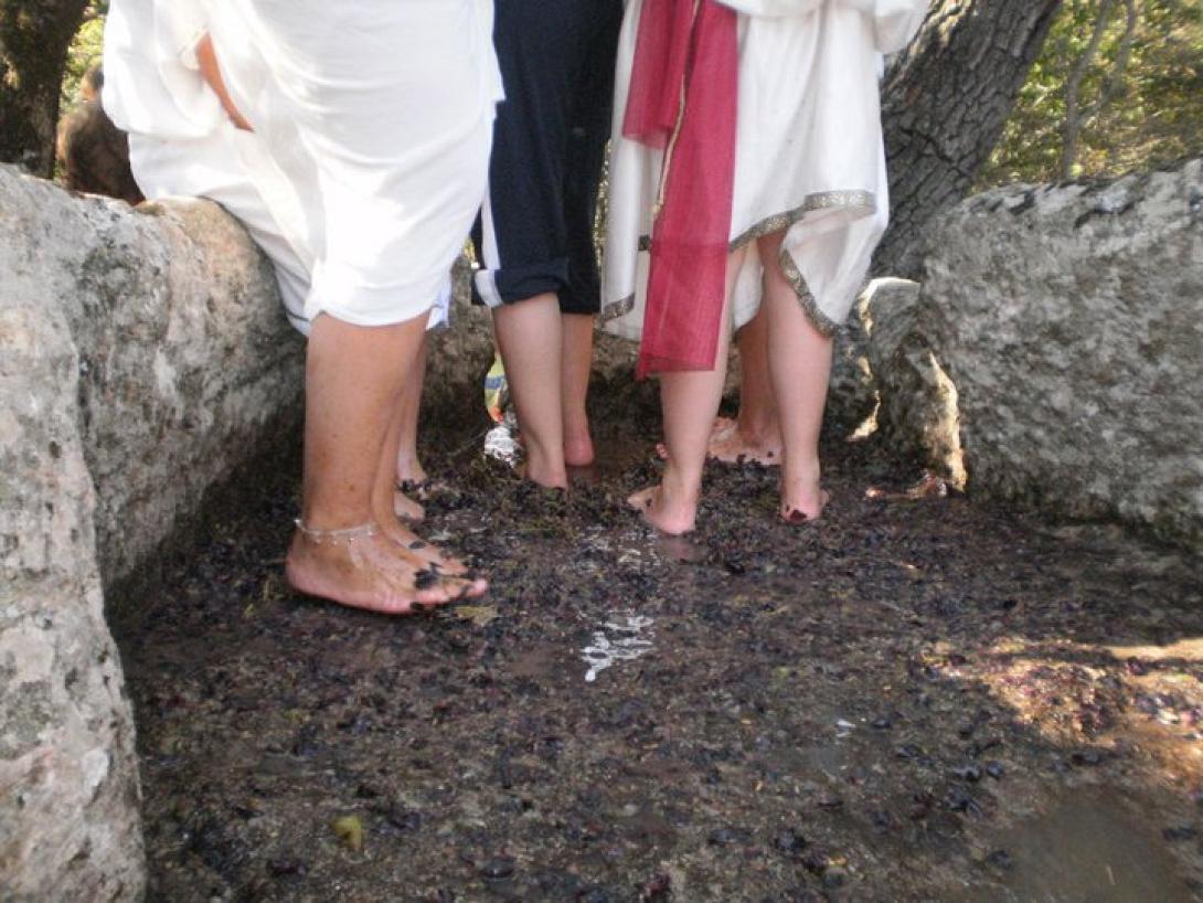 πατημα σταφυλιων